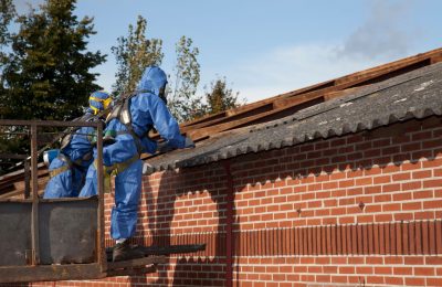 Moss and Algae Removal