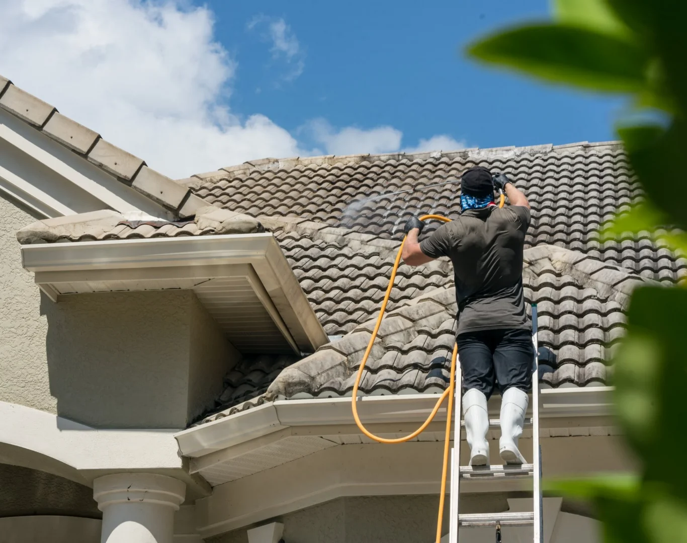 Reliable roof cleaning services near me in South Puget Sound by Laddermen Home Services.