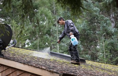 Clean siding after pressure washing service in Longbranch, WA